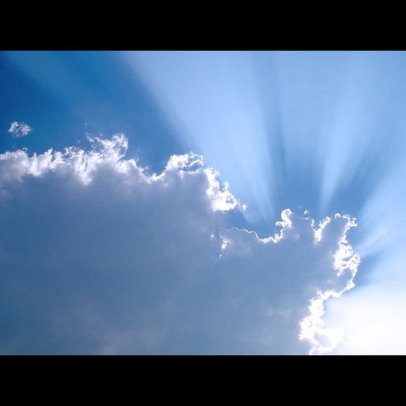 Meet your Posher, Lisa - Picture 1 of 1